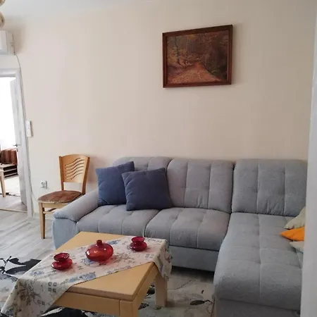 Apartament Comfort Near The *